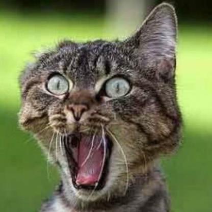 AndromedaUltima's avatar