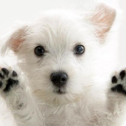 PhotographMaster's avatar