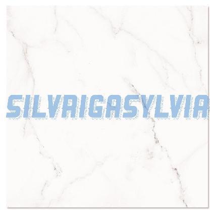 silvrigasylvia's avatar