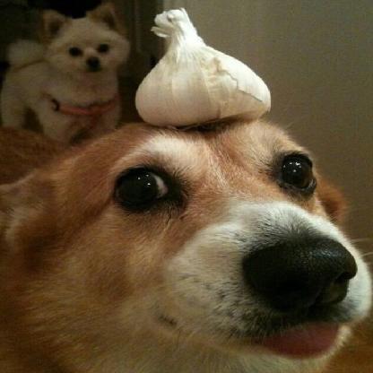 hi_im_sant's avatar