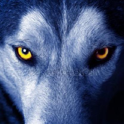 MougliWolf's avatar