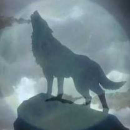 camsezhi37's avatar