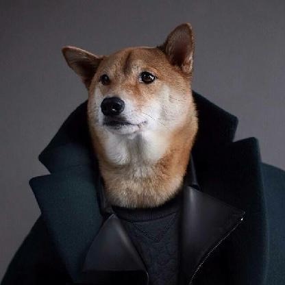 OstiumAxioma's avatar