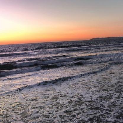 pineapplexsims's avatar