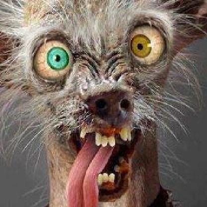 -CraZy-eYes-8908's avatar
