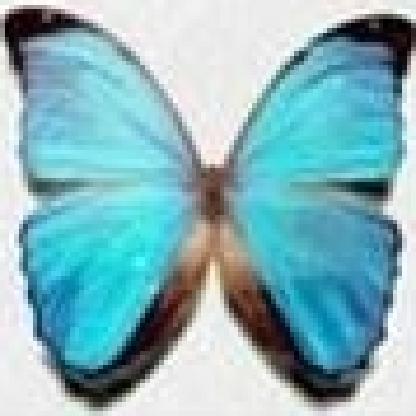 Kordal's avatar