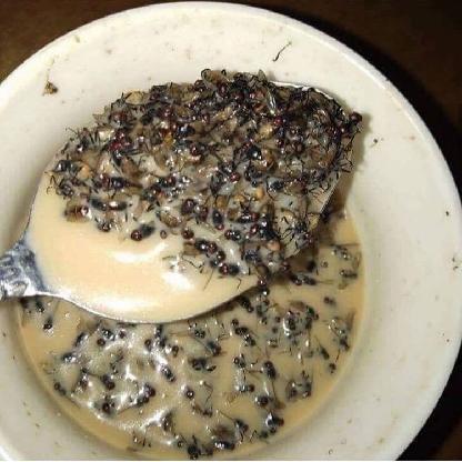 ImSellingMid's avatar