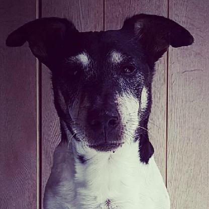 GrumpyGrandPaaa's avatar