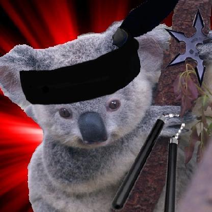 Koala_Ninja98's avatar
