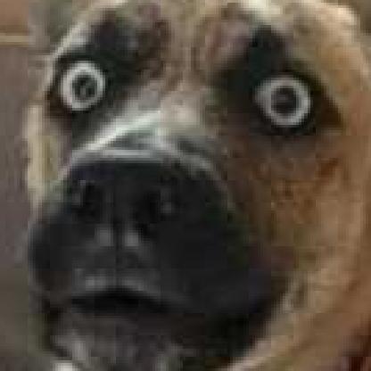 Dill_pickles6213's avatar