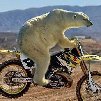 BattIefield-BOT's avatar