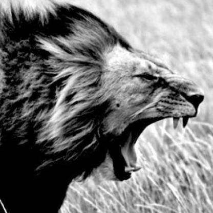 lloyd_hendo's avatar