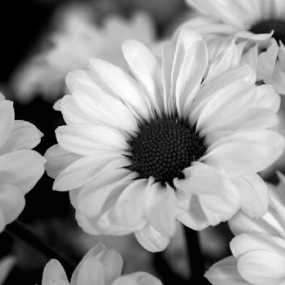 veertje1991's avatar