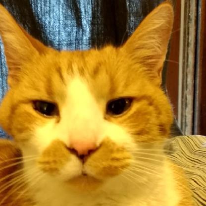 RudyTheBugKiller's avatar