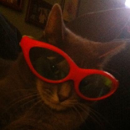 Infectedbandaid's avatar