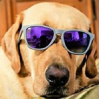 MihaiRobert24's avatar