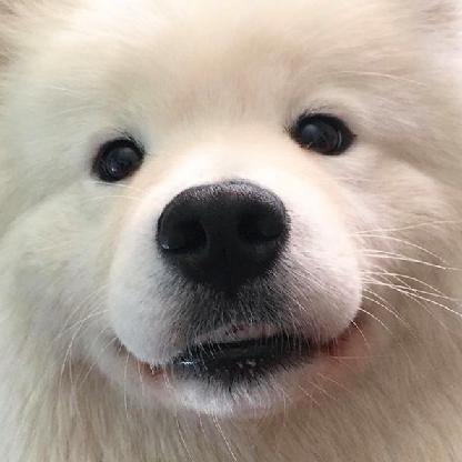 OladusheG's avatar