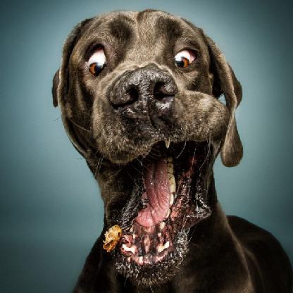maddogbundy's avatar