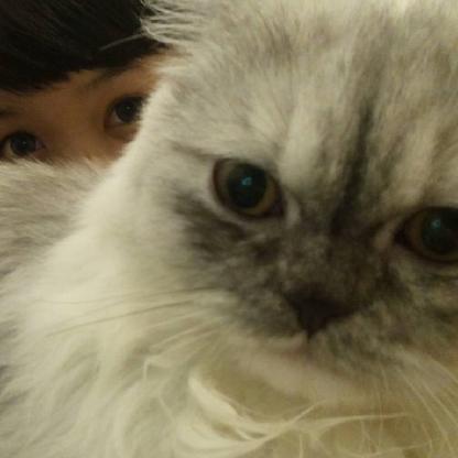 kapraothecat's avatar