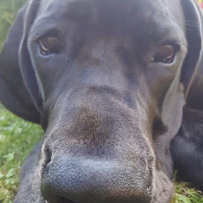 Farlanghn1710's avatar