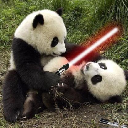 PandashanXS's avatar