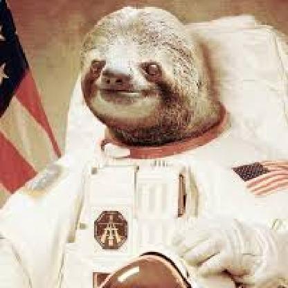 Astrosloth49's avatar