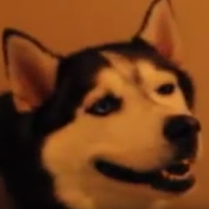 x_Sinister_x's avatar