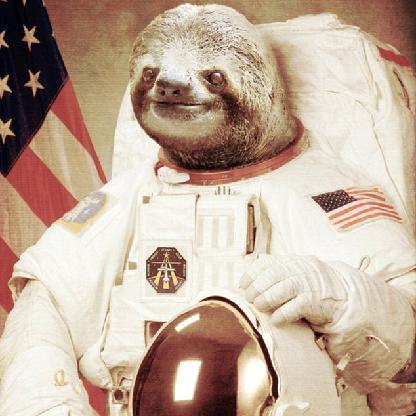 LunkvanTrunk's avatar