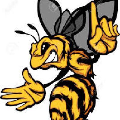 TheThunderHornet's avatar