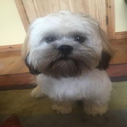 DeanoMcK123's avatar