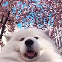 twitch.tv/Zuni's Avatar