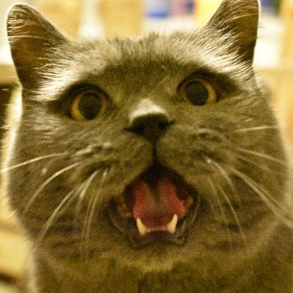 3xpl0its_wmv's avatar