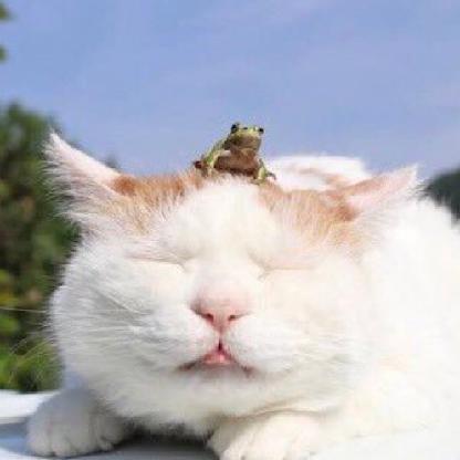 0neshot1977's avatar