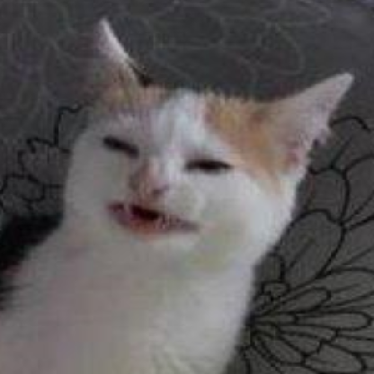 VictorM69lol's avatar