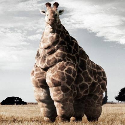 fatgiraffee's avatar