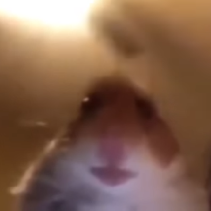 Oivaaa's avatar