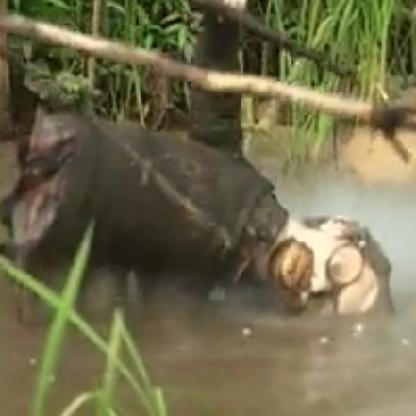 HadesThaHorror's avatar