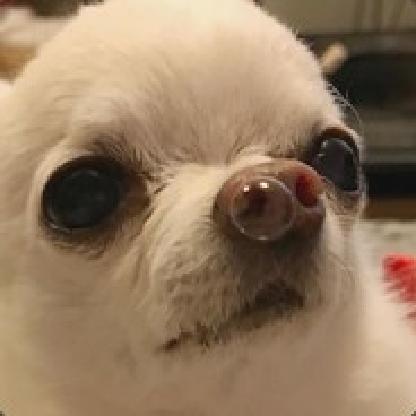 Twitch_Karaliff's avatar