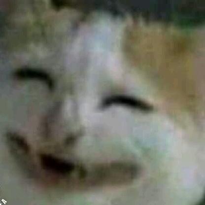 MeHighChec's avatar