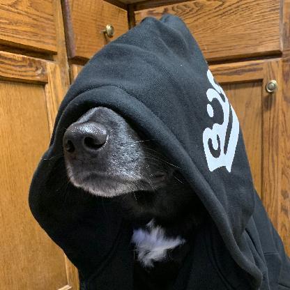 7a00ae0d52821920's avatar