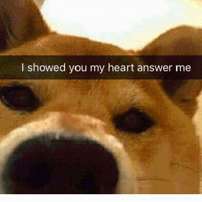 Gehaktbalhond's avatar