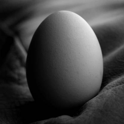 DarkEgg's avatar