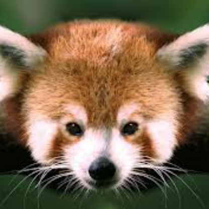 DOUBLE_CH3CK's avatar