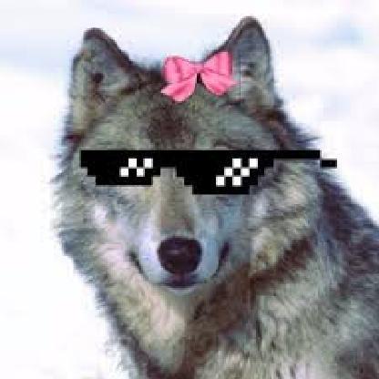 Sh4dow_kIill3r's avatar