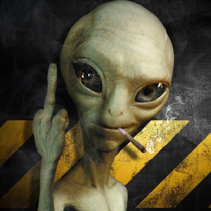 ASweetWrapper's avatar