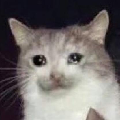 VordtOfTheValley's avatar