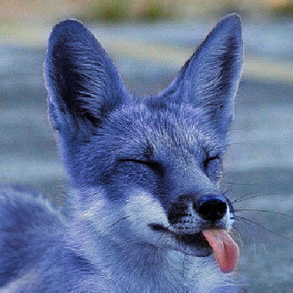FluffyFoxyPaw's avatar