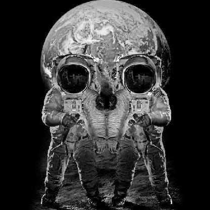 Schwitto's avatar