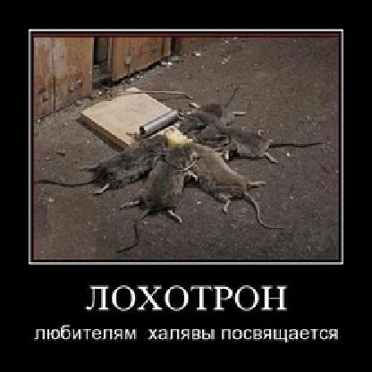 Somewonenow's avatar