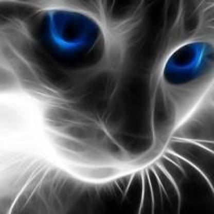 Odysejusz's avatar